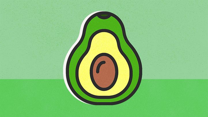 illustration avocado