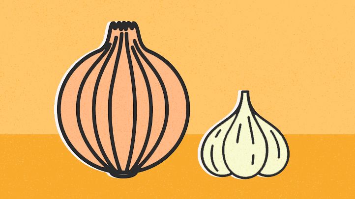 illustration onion garlic