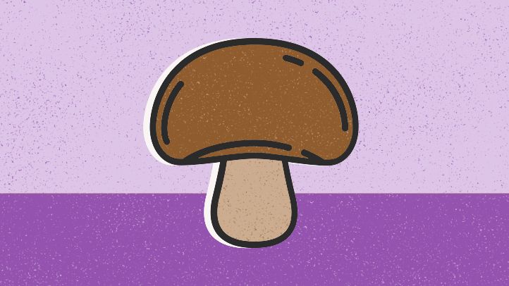 illustration mushroom