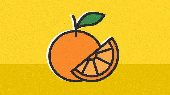 illustration citrus orange slice